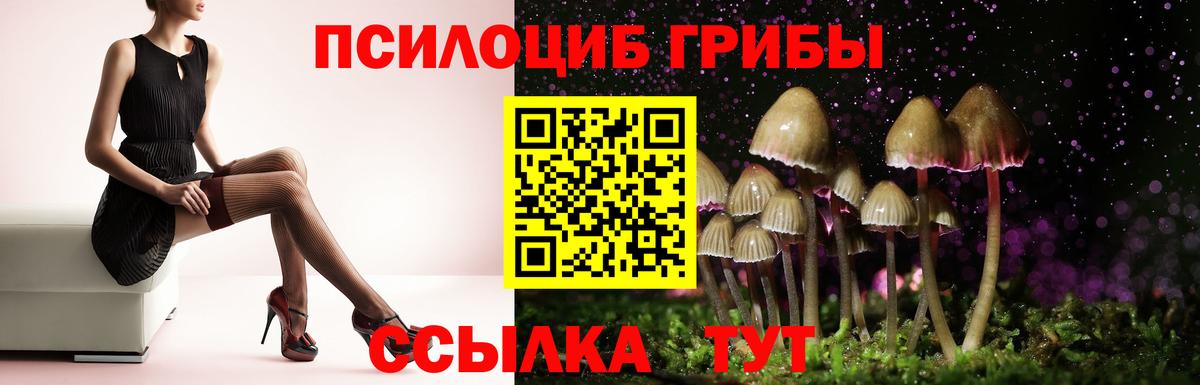 Псилоцибиновые грибы прущие грибы  Вход с VPN  Галлюциногенные грибы Psilocybine cubensis  где купить наркоту  Кинель 